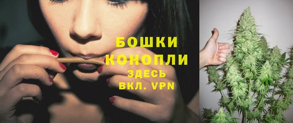 мдпв Бронницы