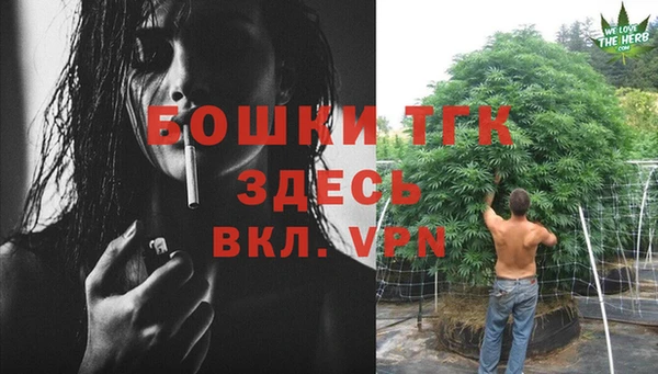 мдпв Бронницы