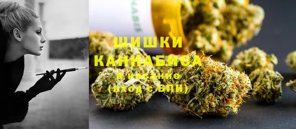 мдпв Бронницы