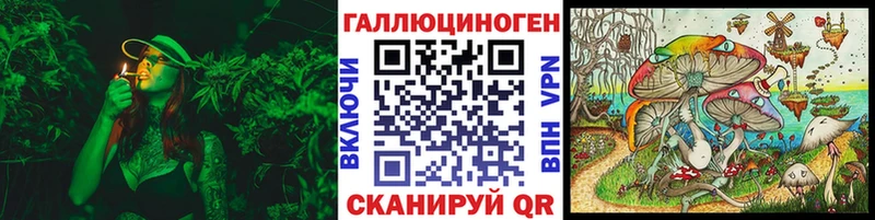 Галлюциногенные грибы прущие грибы  Купить закладки  Вытегра 