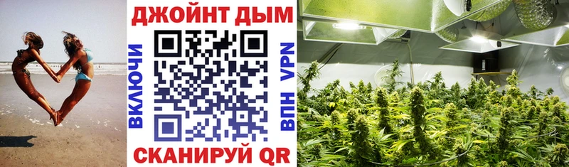Купить  Вытегра  Бошки Шишки Bruce Banner 