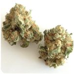 Шишки "White Widow"  (Белая вдова)  Гидропоника -  Бошка VHQ в Вытегре